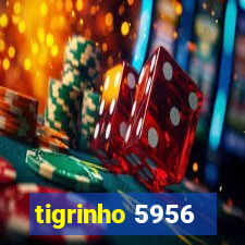 tigrinho 5956